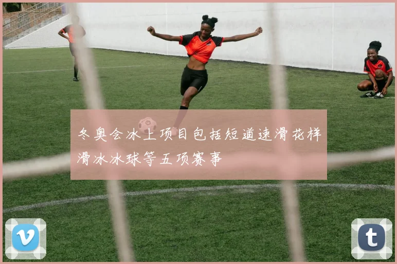 冬奥会冰上项目包括短道速滑花样滑冰冰球等五项赛事