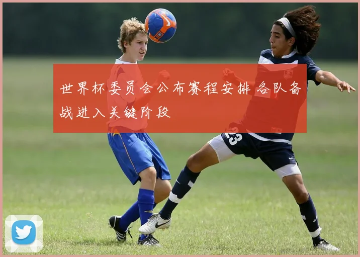 世界杯委员会公布赛程安排 各队备战进入关键阶段