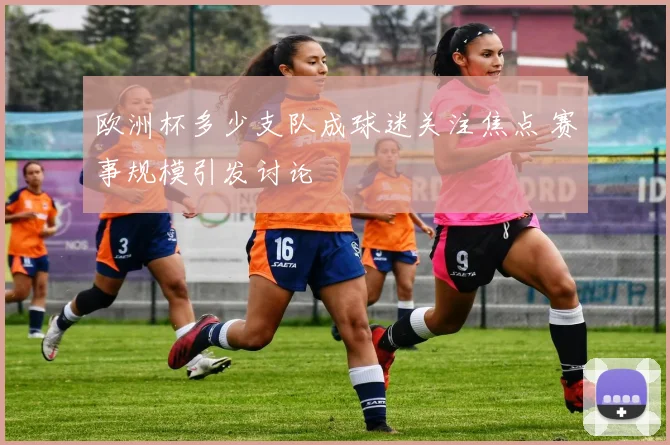 欧洲杯多少支队成球迷关注焦点 赛事规模引发讨论