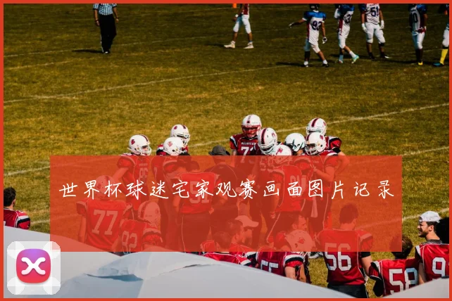 世界杯球迷宅家观赛画面图片记录