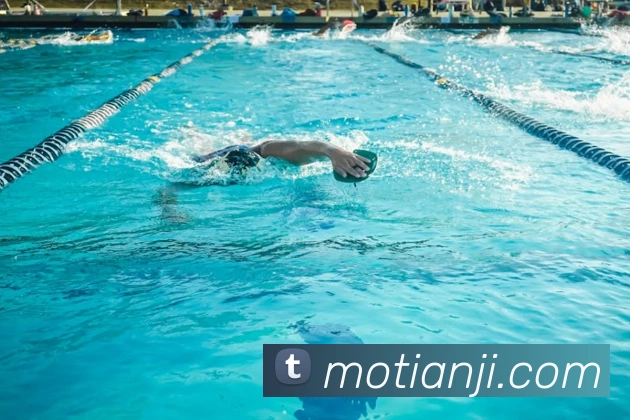 半岛在线官网发展历程